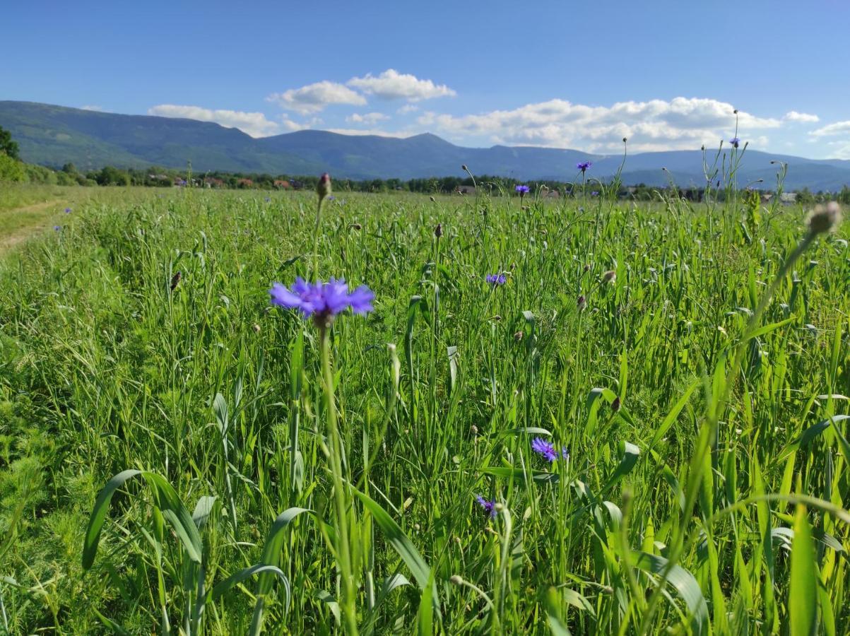 Willa Kolorowa Chata 6 Km Od Karpacza Mysłakowice Exterior foto