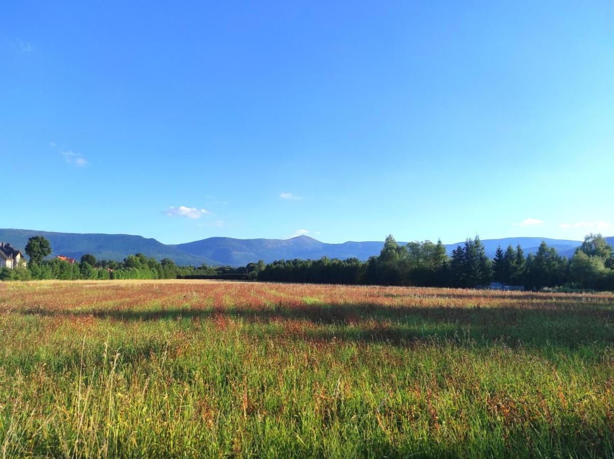 Willa Kolorowa Chata 6 Km Od Karpacza Mysłakowice Exterior foto