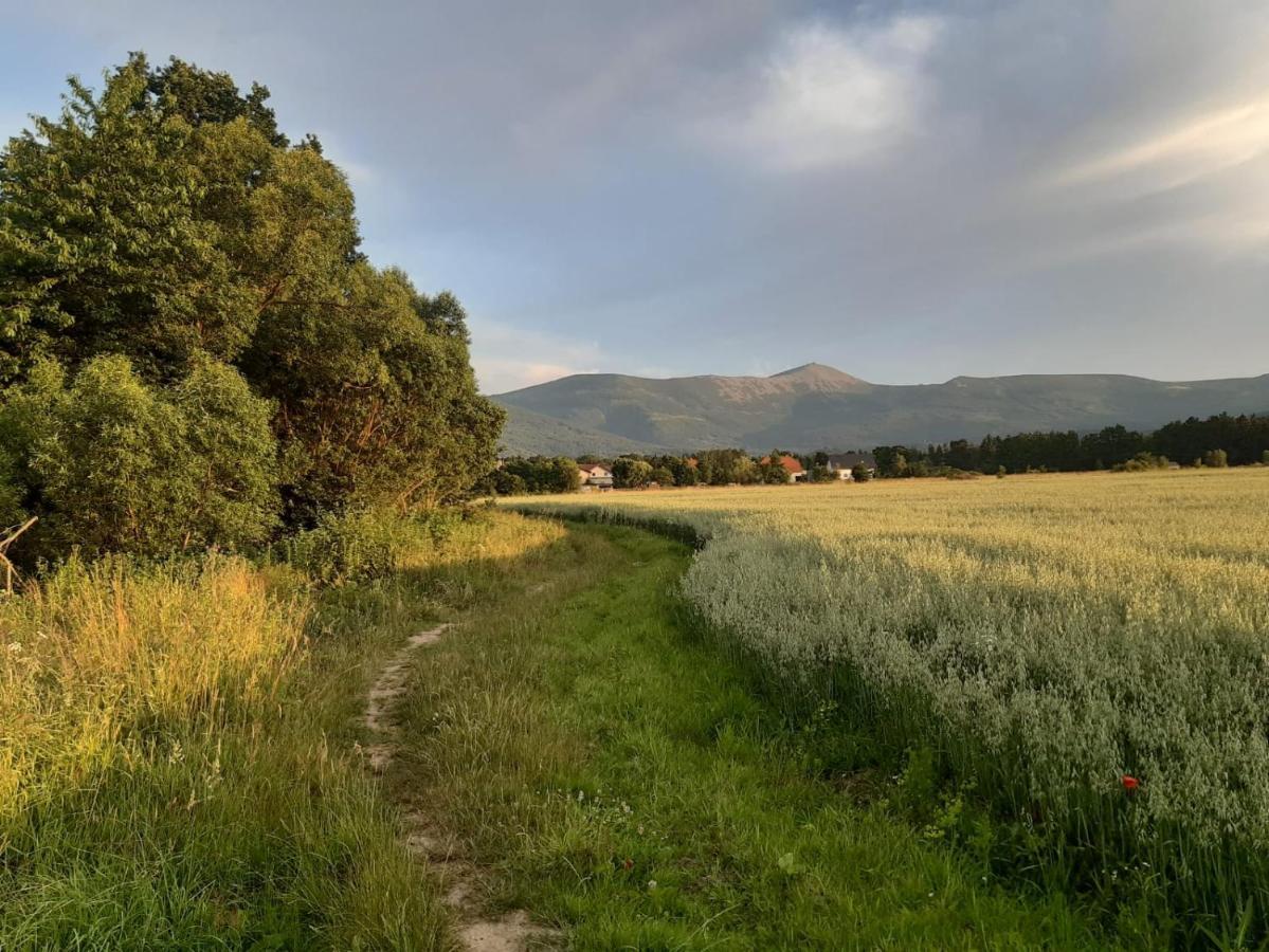 Willa Kolorowa Chata 6 Km Od Karpacza Mysłakowice Exterior foto